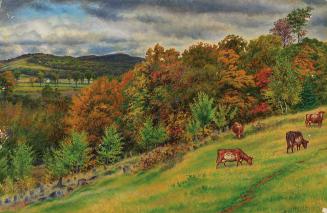 Cows Grazing, Nova Scotia