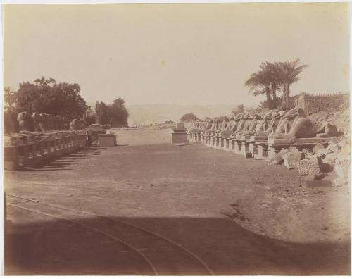 [The road of Sphinx]