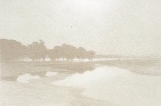 Marais au bord de la Mer  Plate III from Cantiques des Creatures