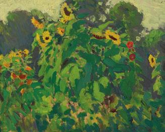 Sunflowers, Thornhill