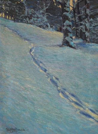 Morning after Snow, High Park