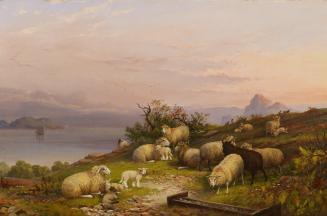 Landscape with Sheep