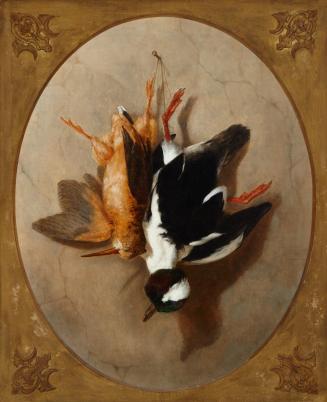 Still Life with Bufflehead and Shorebird