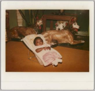 [Baby in white carrier on carpetted floor, painted dog statues behind]