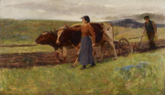 Ploughing, Lower St. Lawrence