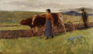 Ploughing, Lower St. Lawrence
