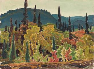 Black Spruce and Poplar