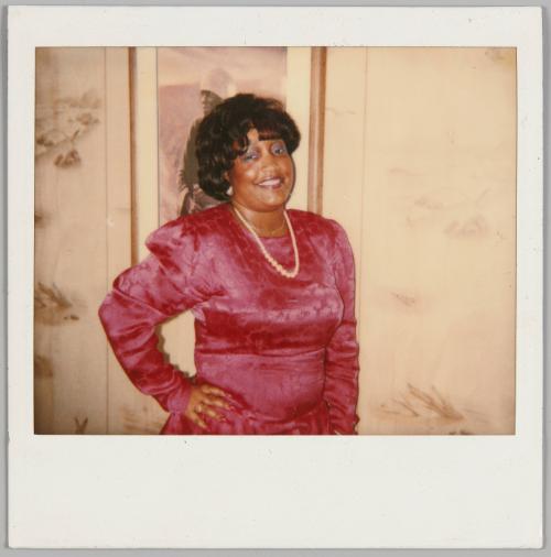 [Woman in pink dress and white necklace standing with one hand on hip, she is in front of a framed picture]