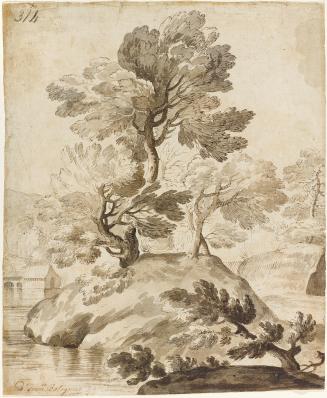 A Study of Trees on Rocks