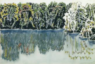 Dark Shore Reflected, Bishop's Pond