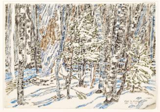 Big Tree in the Woods I