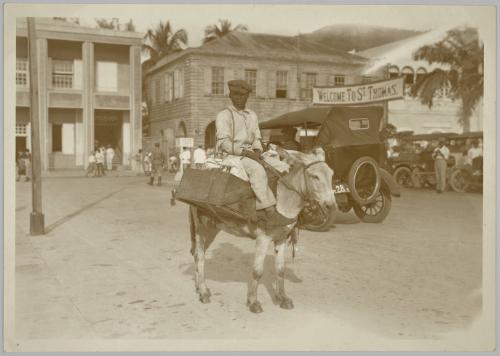 Boy On Donkey, St Thomas, USVI