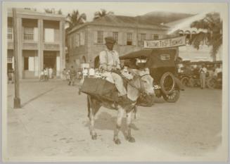 Boy On Donkey, St Thomas, USVI