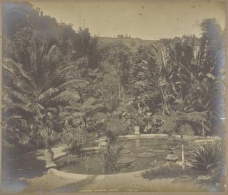 Castleton Gardens, Jamaica