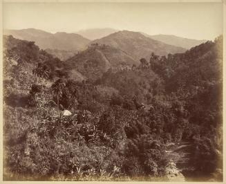 The Mountains From Castleton Road, Jamaica
