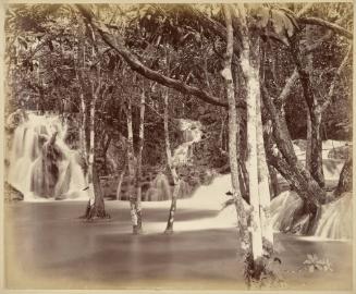 Roaring River, Jamaica