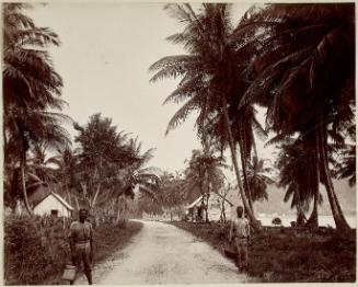 Road to Port Antonio, Jamaica