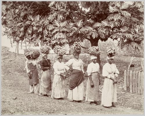 Banana Carriers, Jamaica