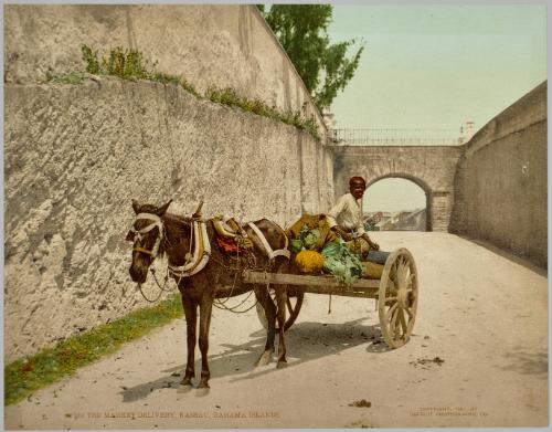 The Market Delivery, Nassau, Bahamas
