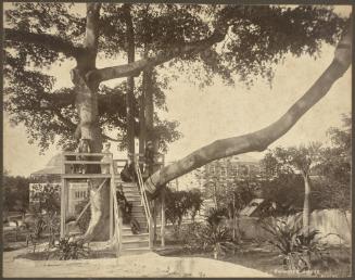 Summer House, Nassau, Bahamas