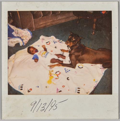 [Baby laying on blanket with large brown dog]
