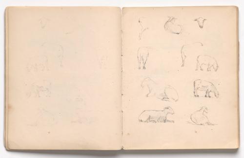 Gower Sketchbook