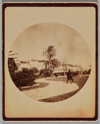 Date Palms, Public Gardens, St George, Bermuda