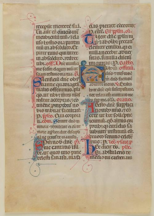 Dominican Missal Leaf