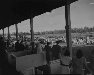 [Race Track, Hobby Horse Hall, negative]