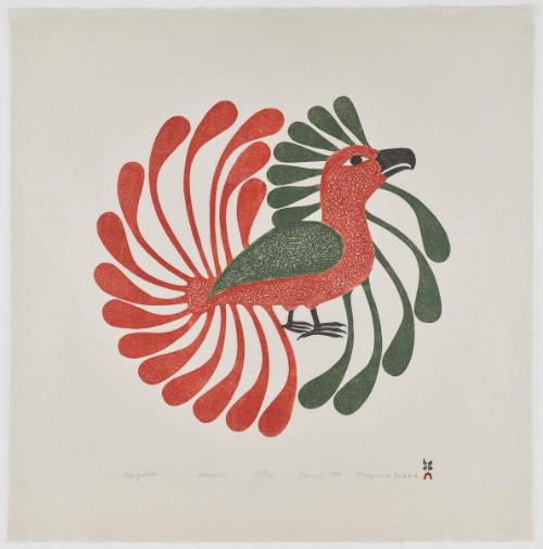 Aoujalik (Moulting Bird)