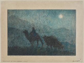 Moonlight on Western Hills