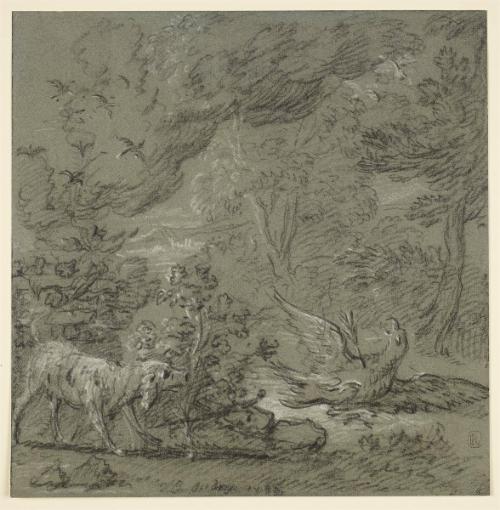 L'oiseau blesse  from Ovid's Metamorphosis