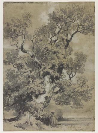 Landscape with a Tree