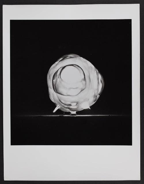 Atomic Bomb Explosion (5202)