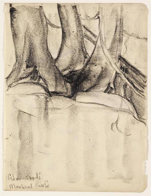 Cedar Roots Montreal River