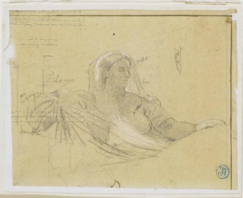 Study for the Portrait of Livia