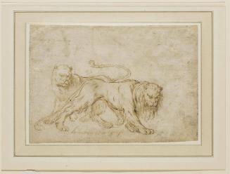 A Pair of Lions