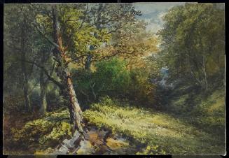 Untitled (Forest Clearing)