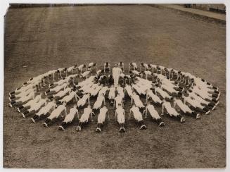 Making Rings Round the Instructor
