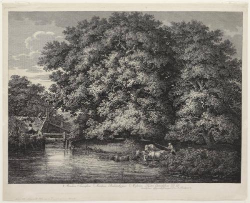 Die Muehle bei den Grossen Eichen