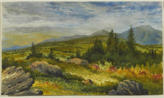 The Notch, White Mountains, N.H.