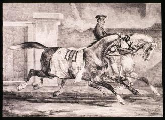 Horses Exercising, from Various Subjects Drawn from Life on Stone