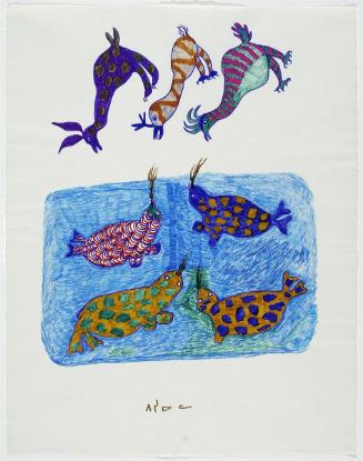 Fantastic Birds and Seals