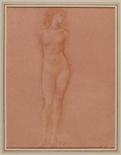 Standing Female Nude