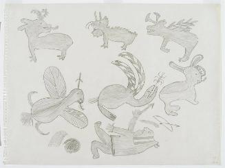 Hunting Fantastic Animals