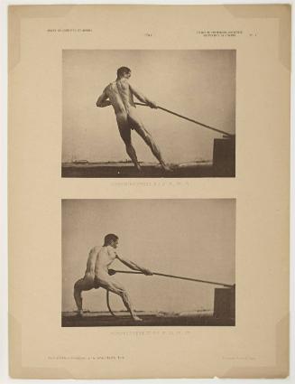 Etudes de Physiologie Artistique, plate 5