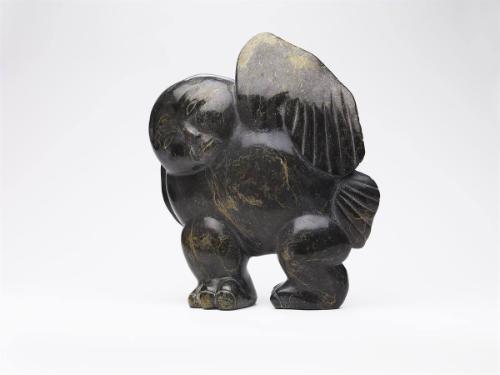 Bird/Human Transformation