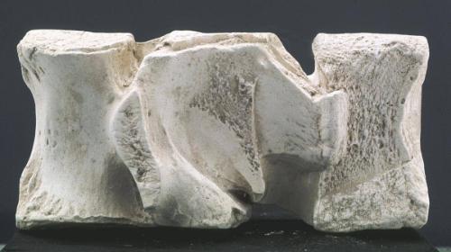 Plaster Cast of Bone Fragment