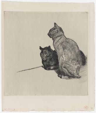 Two Cats Facing Left