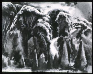 Landscape, Road and Trees